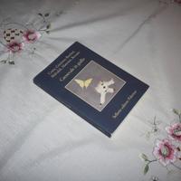 Costa Malvaldi Recami Carnevale in giallo Sellerio