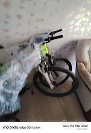 bicicletta