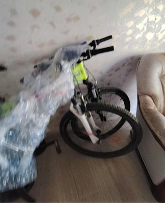 bicicletta