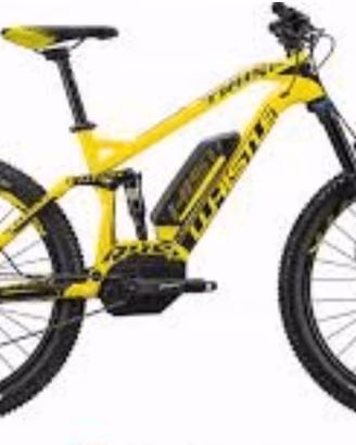 e bike