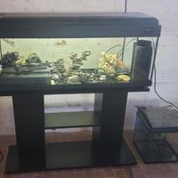 2 acquario uno grande e uno piccolo. Come nuovi