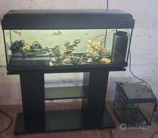 2 acquario uno grande e uno piccolo. Come nuovi
