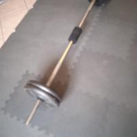 dischi palestra 10 kg cadauno