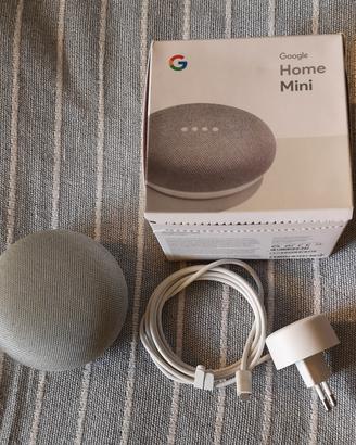 Google home mini