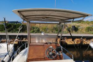 Barca con evinrude 90 Etec