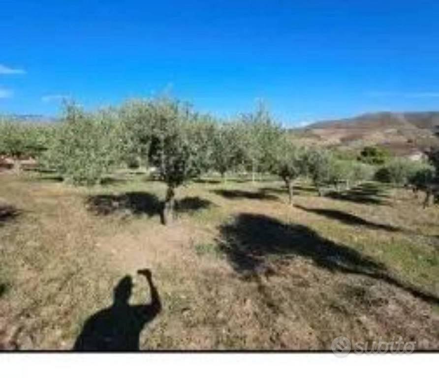 Immobile in asta di 4619 m² a Cerda - Vista 4