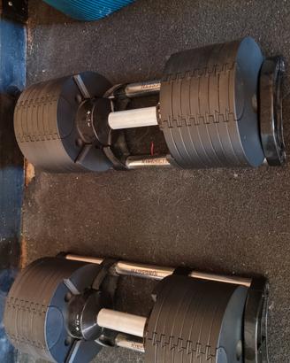 manubri regolabili Kingsgym 42.5 kg