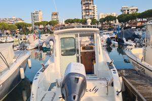 sessa dorado 22