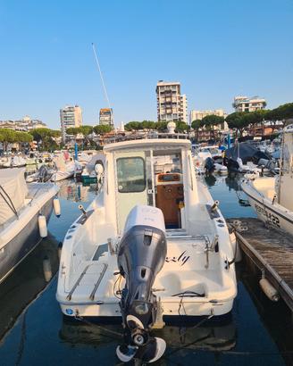 sessa dorado 22