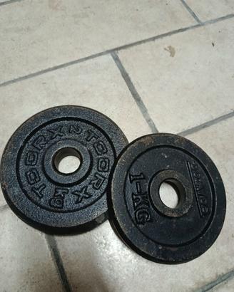 Pesi in ghisa