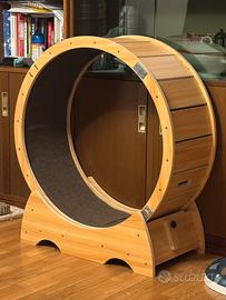 Ruota per gatti