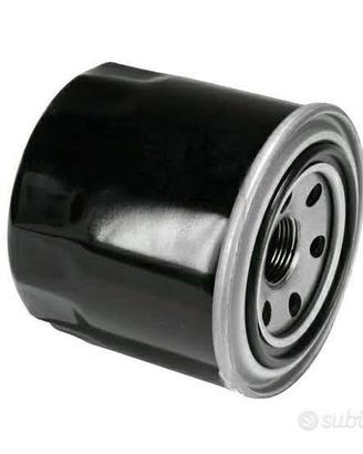 filtro gasolio lombardini ruggerini 