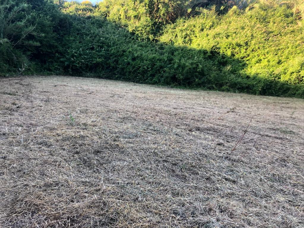 Terreno agricolo - Altro
