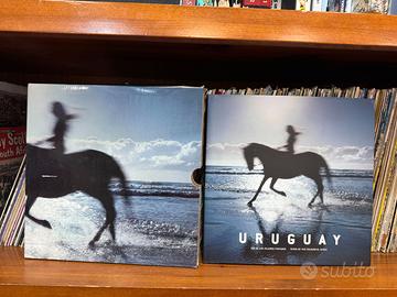 Uruguay river of the colourful birds