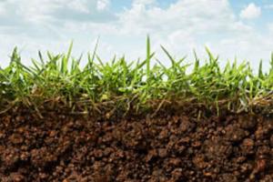 Terreno edificabile per capannone artigianale