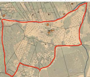 Terreno agricolo con entrostanti annessi rurali