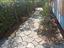 Immagine 6