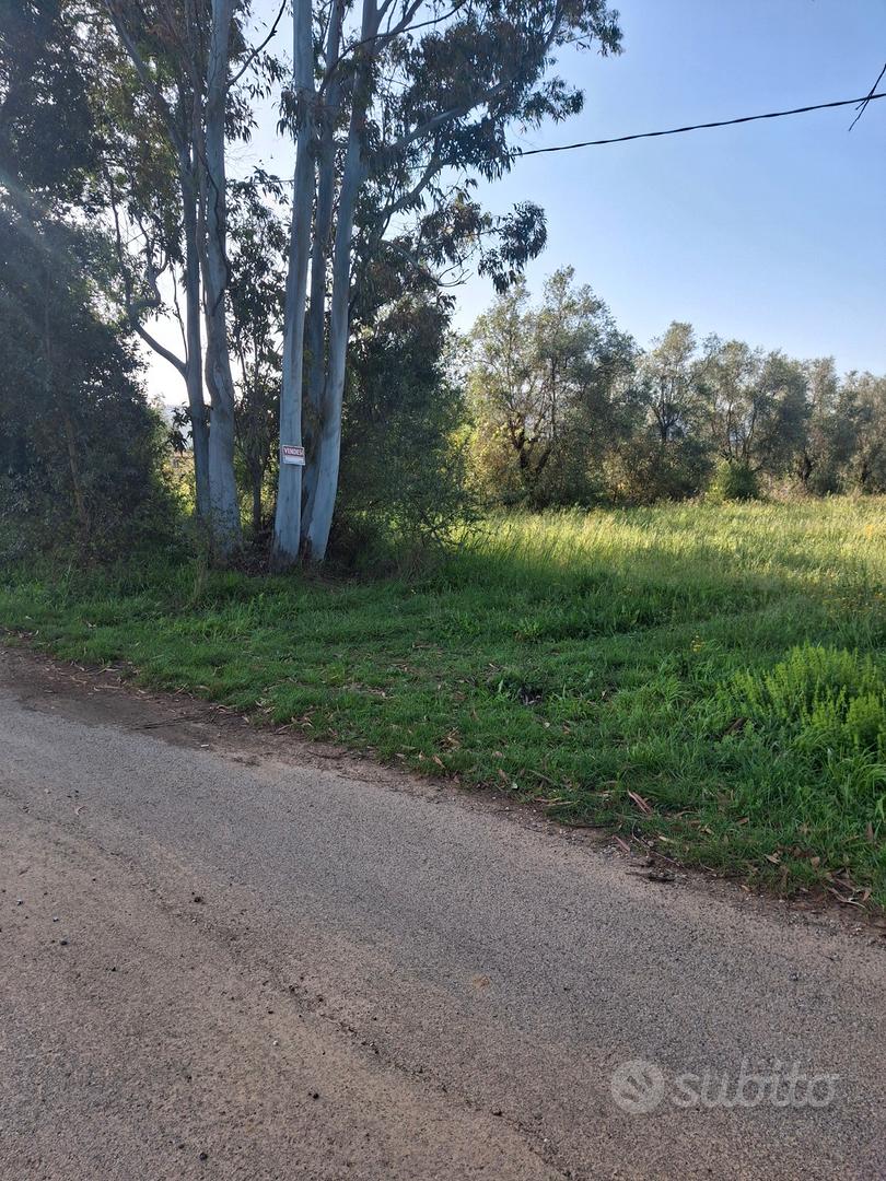 Terreno agricolo - Vista 5