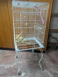 gabbia pappagallo 