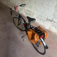 Atala discovery