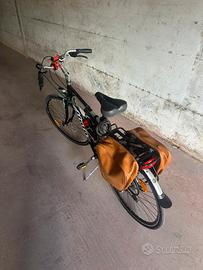 Atala discovery