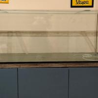 Acquario 450 litri