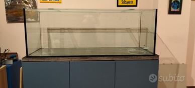 Acquario 450 litri