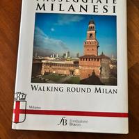 Libro Passeggiate milanesi nuovo