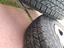 Immagine 2