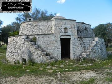 LAMIA VITE con TERRENO 8000mq-S.VITO DEI NORMANNI