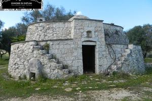 LAMIA VITE con TERRENO 8000mq-S.VITO DEI NORMANNI