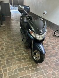 Burguman 250