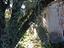 Immagine 10
