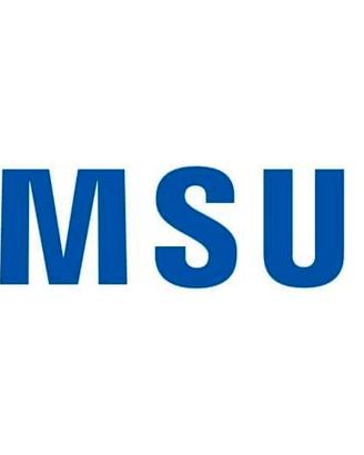 CARICA Batterie SMARTWATCH SAMSUNG