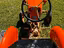 Immagine 6