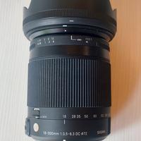 sigma 18-300