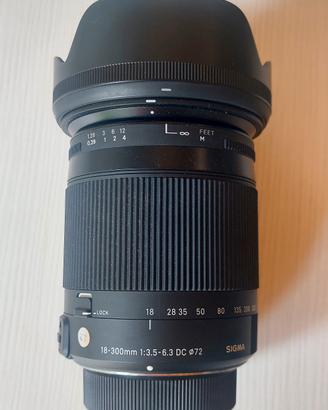 sigma 18-300