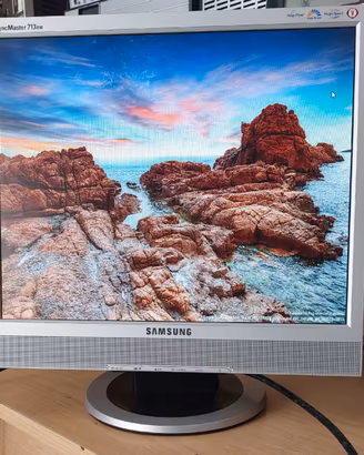 Monitor Samsung 17 pollici