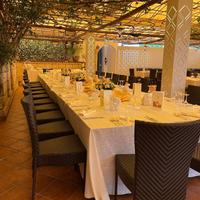 Sedie Stock Sedie Ristorante/Bar