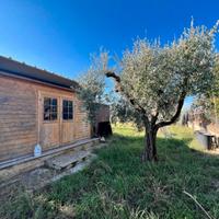 Gallicano: terreno agricolo adiacente pae
