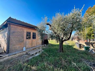 Gallicano: terreno agricolo adiacente pae