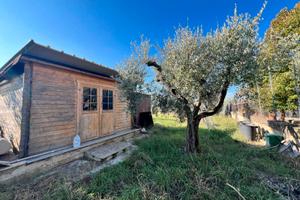 Gallicano: terreno agricolo adiacente pae