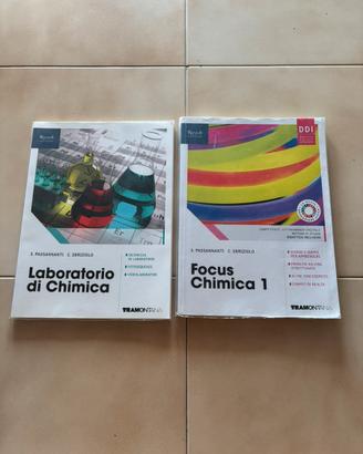Rizzoli: Focus chimica 1 + Laboratorio