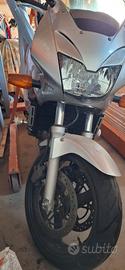 Honda hornet