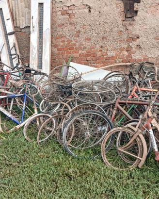 Bici da restauro/rottame in blocco, solo