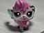 Immagine 4