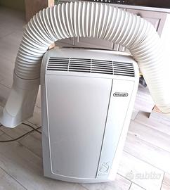 Pinguino de longhi