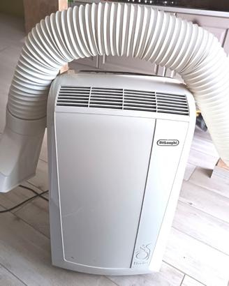 Pinguino de longhi