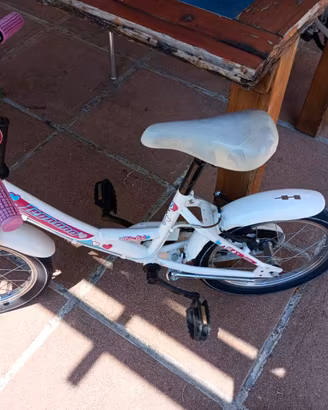 Bicicletta bambina