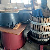 torchio e tina per uva